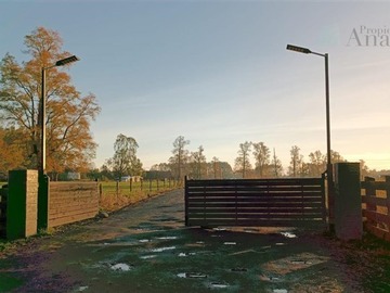 Venta / Terreno / Frutillar