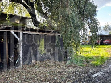Imagen 5