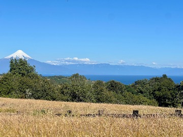 Venta / Terreno / Frutillar
