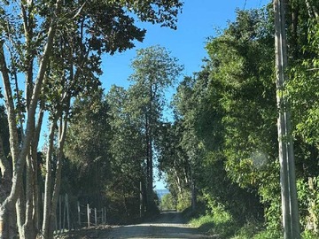 Venta / Terreno / Frutillar