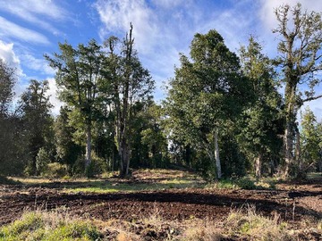 Venta / Terreno / Frutillar