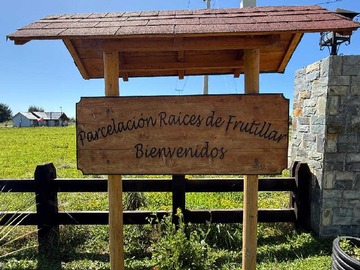 Venta / Terreno / Frutillar