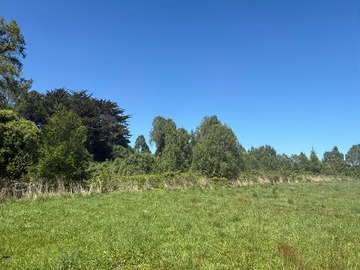 Venta / Terreno / Frutillar