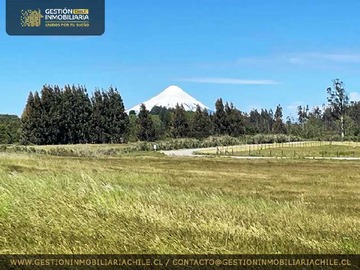 Venta / Terreno / Frutillar