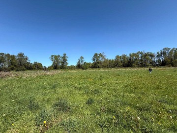 Venta / Terreno / Frutillar