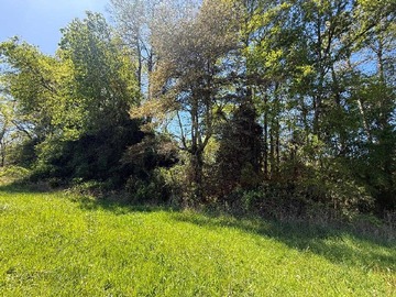 Venta / Terreno / Frutillar