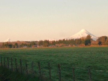 Venta / Terreno / Frutillar