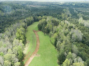 Venta / Terreno / Frutillar