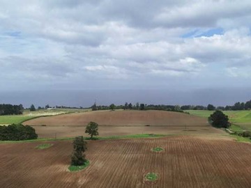 Venta / Terreno / Frutillar