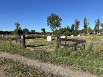 Venta / Terreno / Frutillar