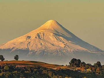 Venta / Terreno / Frutillar