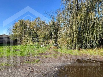 Venta / Terreno / Frutillar