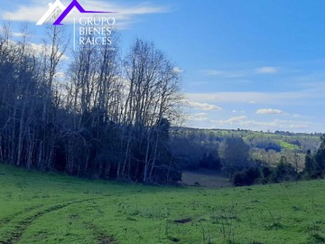 Venta / Terreno / Frutillar