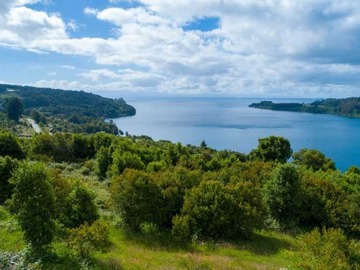 Venta / Terreno / Frutillar