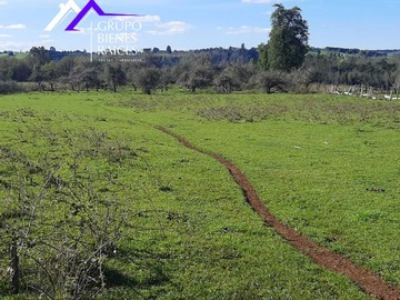 Venta / Terreno / Frutillar