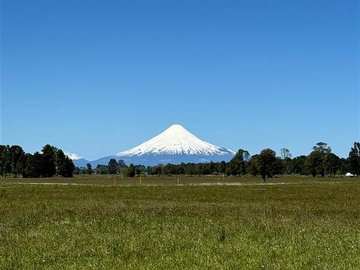 Venta / Terreno / Frutillar