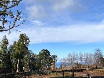 Venta / Terreno / Frutillar