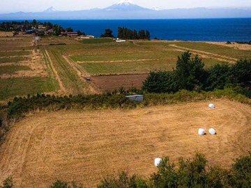 Venta / Terreno / Frutillar