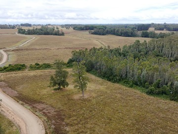 Venta / Terreno / Frutillar