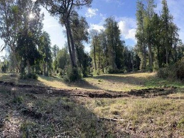 Venta / Terreno / Frutillar