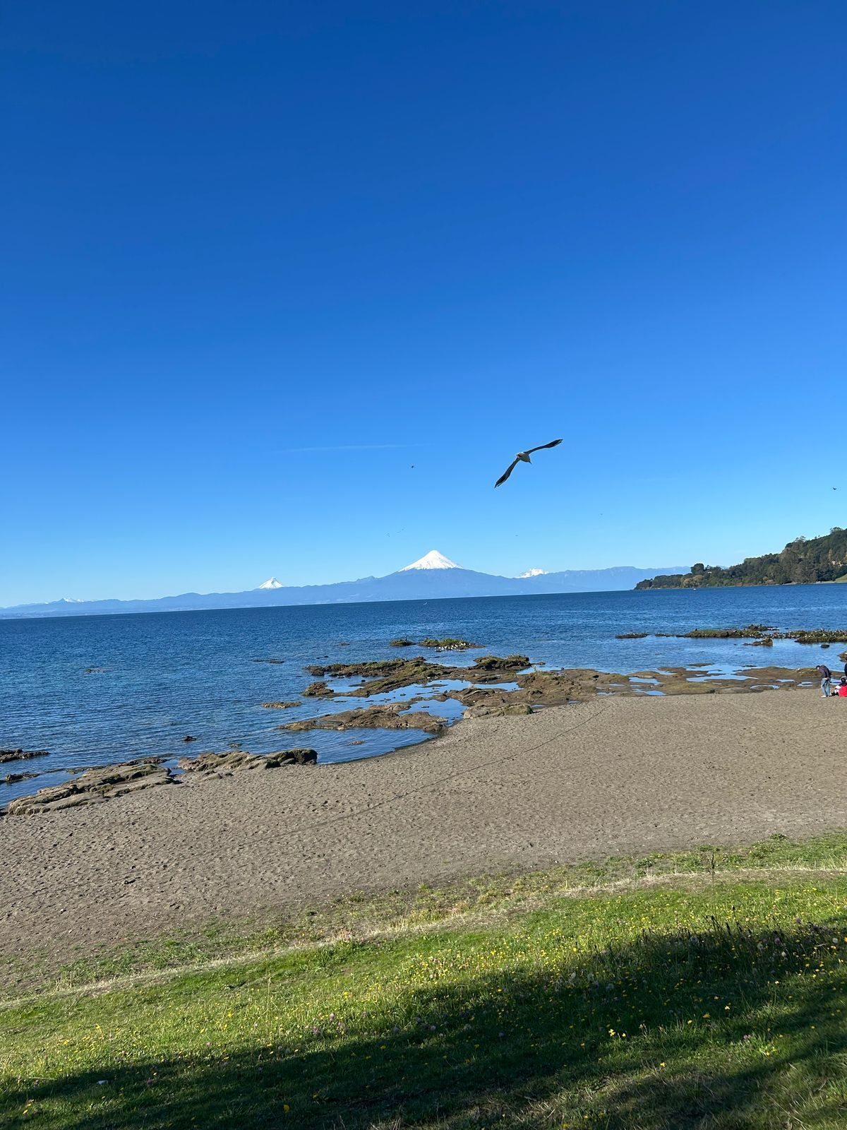 Frutillar bajo, Lago Llanquihue, vista volcanes.
