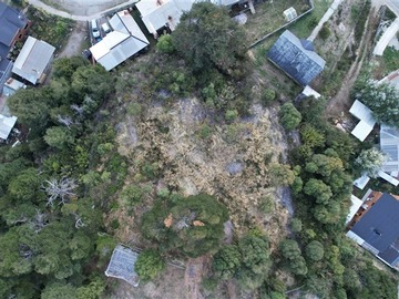 Imagen 9