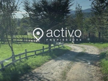 Imagen 8