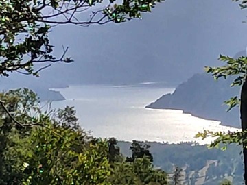 Venta / Terreno / Futrono