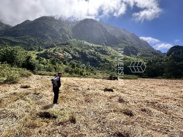 Venta / Terreno / Futrono