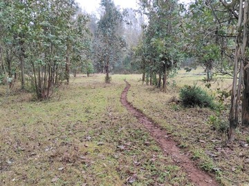 Venta / Terreno / Gorbea