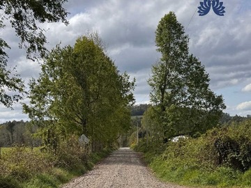 Venta / Terreno / Gorbea