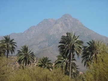 Venta / Terreno / Hijuelas