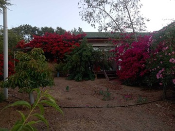Venta / Terreno / Hijuelas