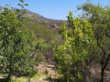 Imagen 4