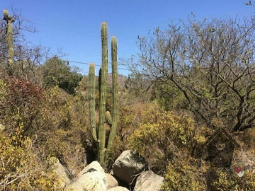 Venta / Terreno / Hijuelas