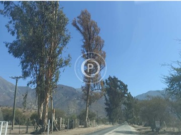 Venta / Terreno / Hijuelas