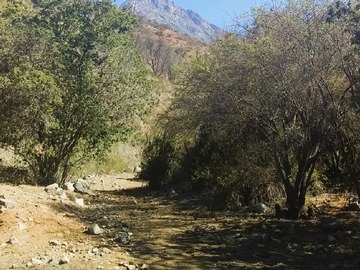 Imagen 9