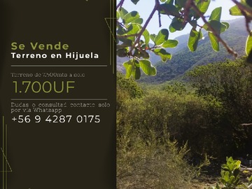 Venta / Terreno / Hijuelas