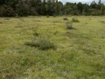 Venta / Terreno / Hualaihué
