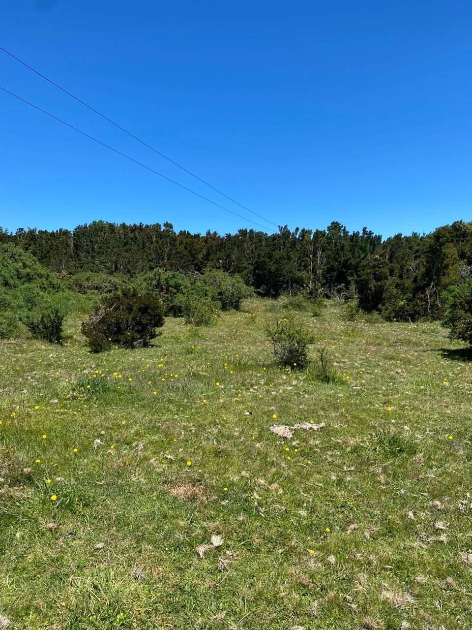 Terreno plano