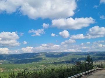 Venta / Terreno / Hualañé