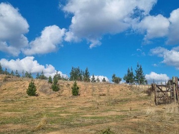 Venta / Terreno / Hualañé