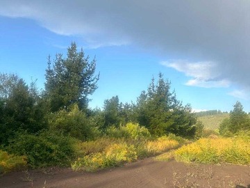 Venta / Terreno / Hualqui