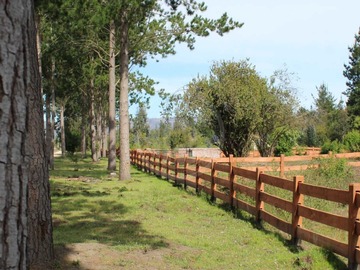 Venta / Terreno / Hualqui