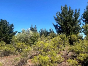 Venta / Terreno / Hualqui