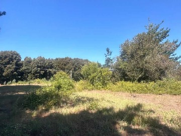 Venta / Terreno / Hualqui
