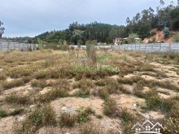 Venta / Terreno / Hualqui