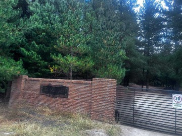 Venta / Terreno / Hualqui