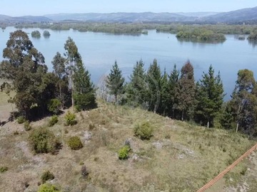 Venta / Terreno / Hualqui