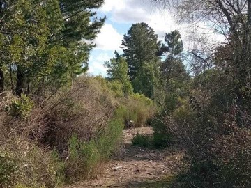 Venta / Terreno / Hualqui